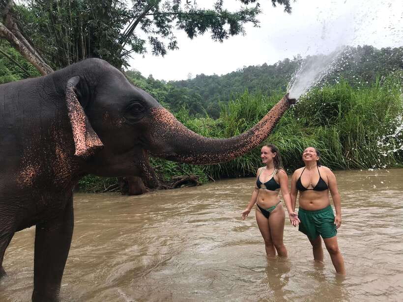 Chiang Mai: Elephant Sanctuary & Waterfall Group Tour - A Thai lunch before the waterfall