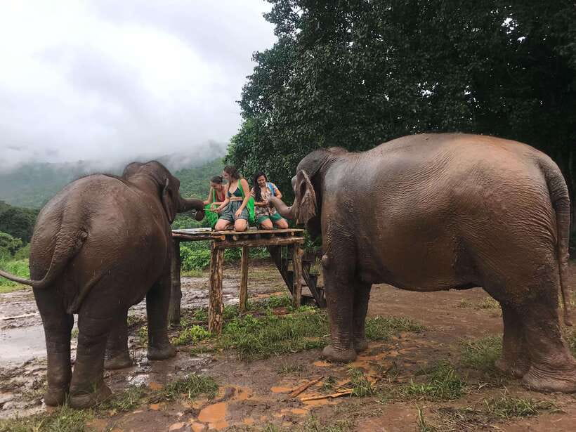 Chiang Mai: Elephant Sanctuary & Waterfall Group Tour - Hiking through the forest to Mae Wang Waterfall