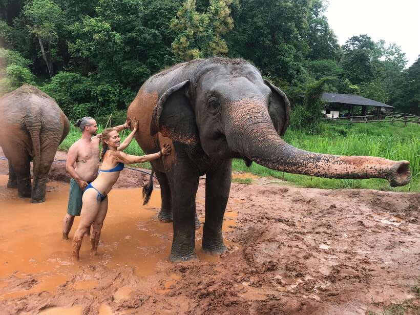Chiang Mai: Elephant Sanctuary & Waterfall Group Tour - Transport, pace, and group comfort