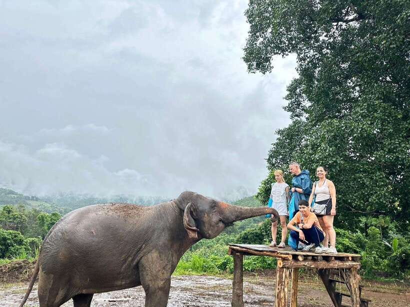 Chiang Mai: Elephant Sanctuary & Waterfall Group Tour - What to pack for a wet jungle day