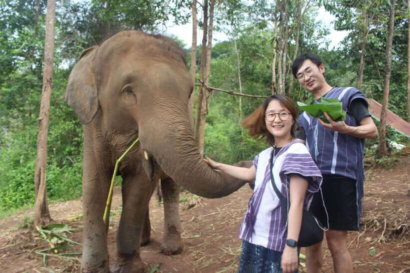 CHIANG MAI ELEPHANT VILLAGE SANCTUARY JUNGLE ADVENTURE - Leaving Chiang Mai at 7:30 in the morning
