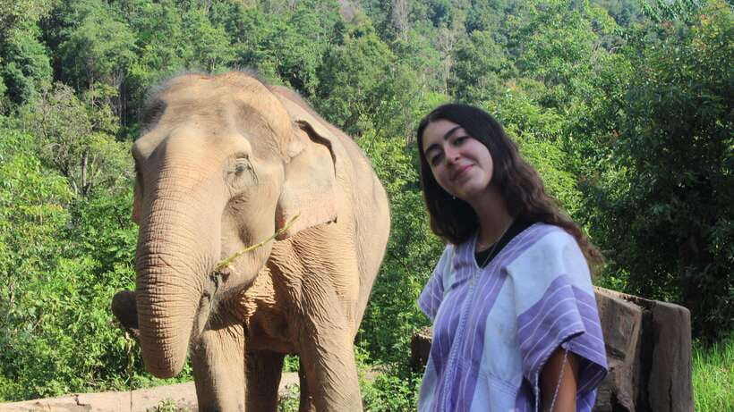 CHIANG MAI ELEPHANT VILLAGE SANCTUARY JUNGLE ADVENTURE - A waterfall, a river, and a chance to cool off