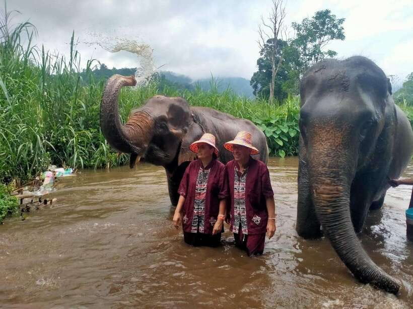 Chiang Mai: Elephants, Sticky Waterfalls, Market and Temple - Why this Chiang Mai day works so well