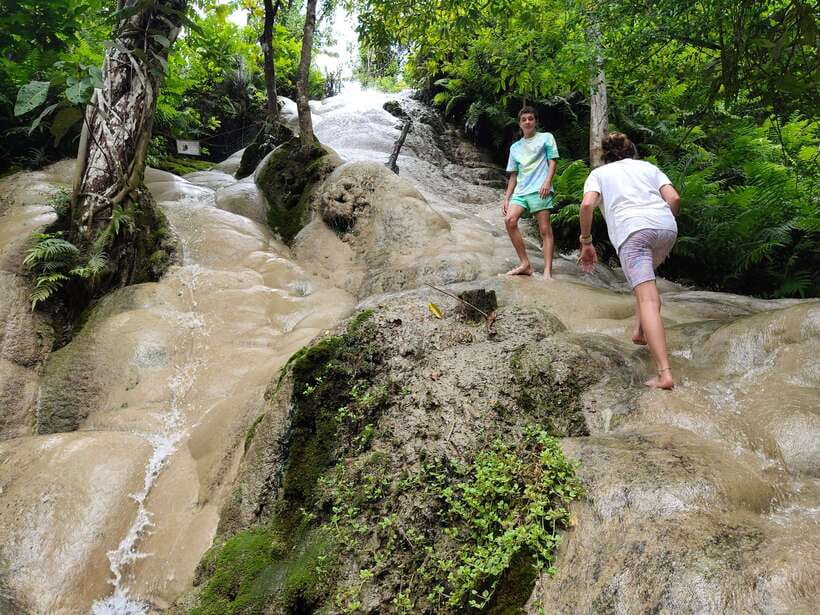 Chiang Mai: Elephants, Sticky Waterfalls, Market and Temple - Who should book, and who should think twice
