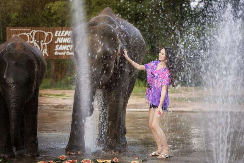 Chiang Mai: Ethical Elephant Feeding & Shower Program - A short elephant visit with a clear purpose