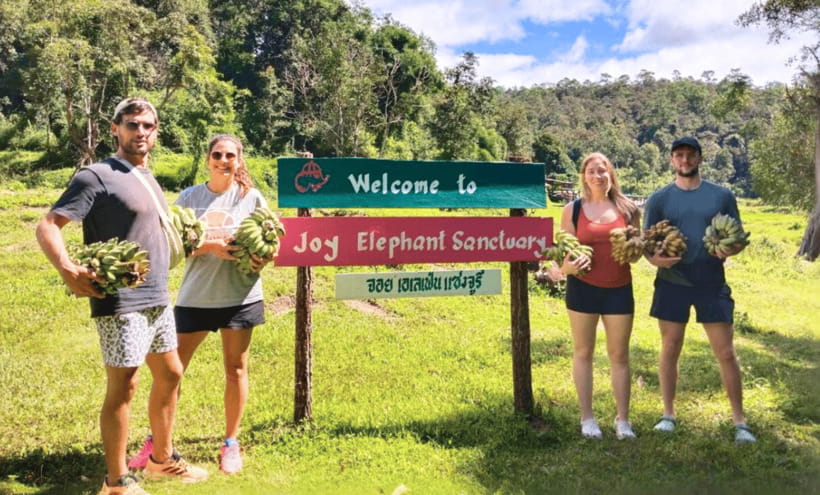Chiang Mai: Ethical Half Day Elephant Sanctuary & Waterfall - Feeding time: close enough to feel special