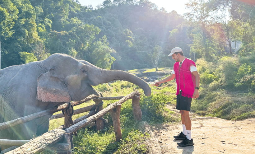 Chiang Mai: Ethical Half Day Elephant Sanctuary & Waterfall - Waterfall time, with the elephants kept separate