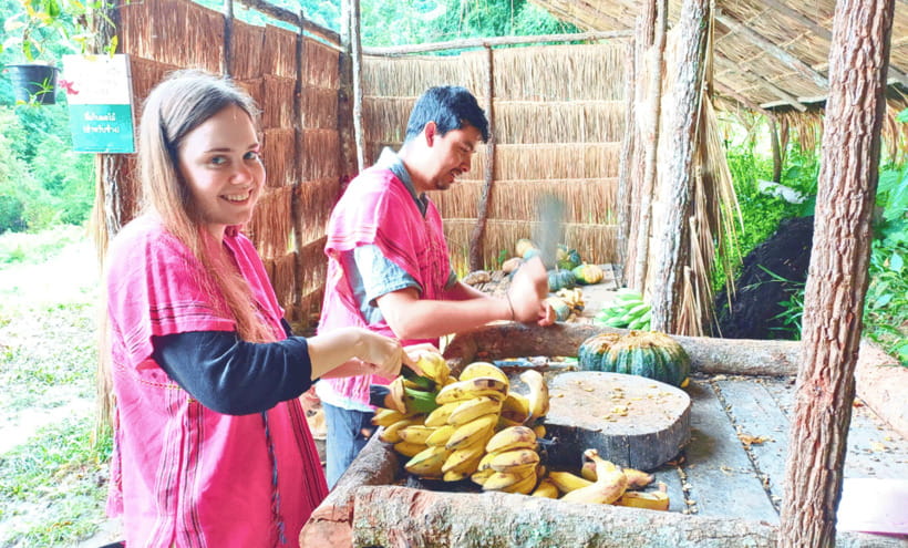 Chiang Mai: Ethical Half Day Elephant Sanctuary & Waterfall - The 1.5-hour ride from Chiang Mai to Mae Wang