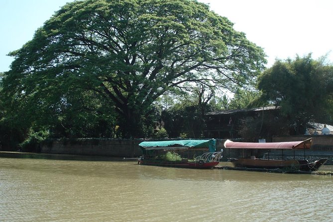 Chiang Mai Farm Life & Khao Soy Tasting on a Half-Day Boat Tour - Herbal drinks, fresh fruit, and the khao soi lunch