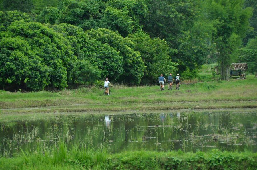 Chiang Mai Fields of Gold Cycling Tour - Riding through Lanna village country