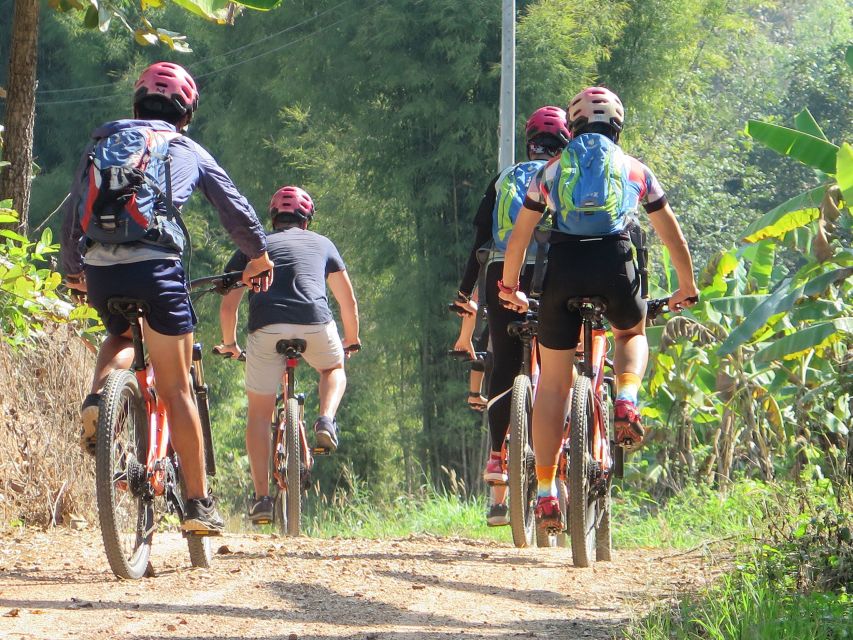 Chiang Mai Fields of Gold Cycling Tour - Fruit, snacks, lunch, and the practical breaks