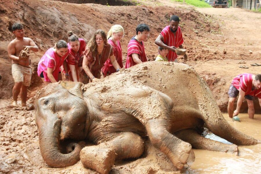Chiang Mai: Full-Day Kerchor Elephant Eco Park Tour & Trek - Getting from Chiang Mai to the park