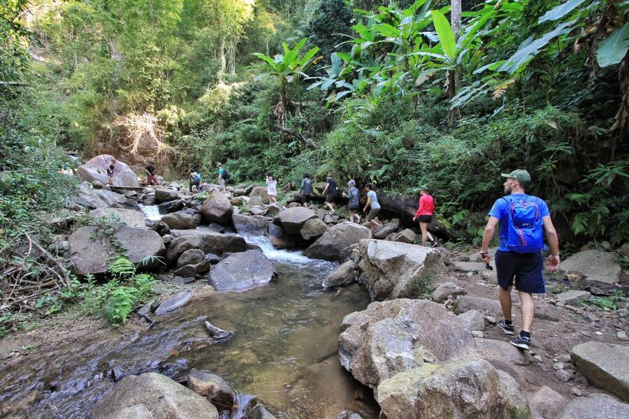 Chiang Mai: Guided Jungle and Waterfall Trek with Transfer - Practical preparation for a smoother day