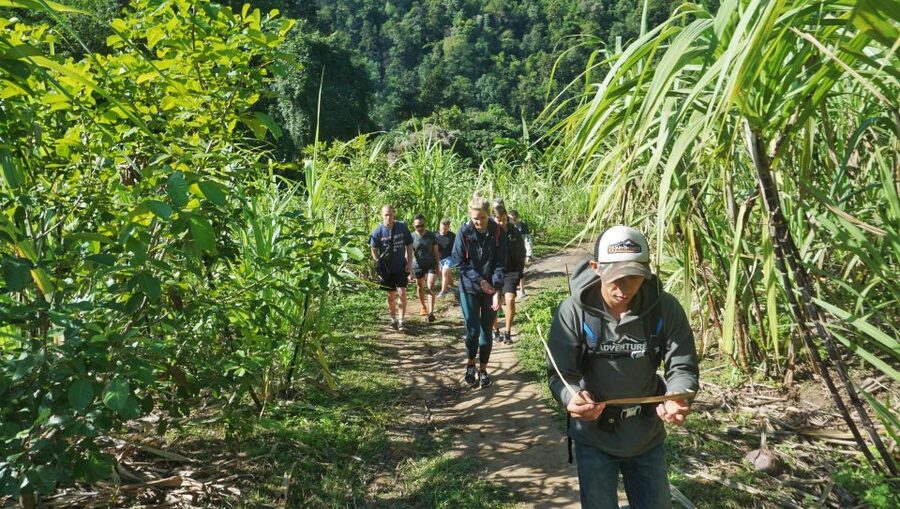 Chiang Mai: Guided Jungle and Waterfall Trek with Transfer - Lunch, snacks, and the return journey