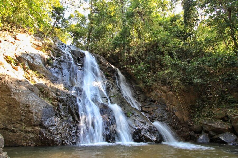 Chiang Mai: Guided Jungle and Waterfall Trek with Transfer - What makes the guide important