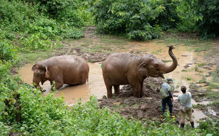 Chiang Mai Half-Day Adventure: River Tubing & Waterfall - Showers, snacks, and a calm finish at base camp