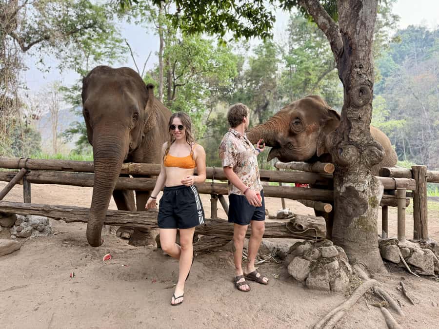 Chiang Mai Half-Day Adventure: River Tubing & Waterfall - What the $62 price includes
