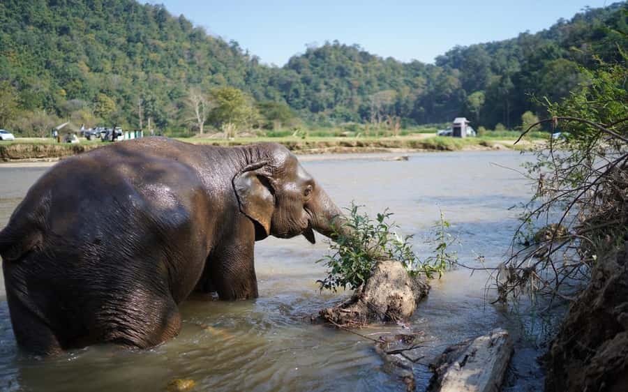 Chiang Mai Half-Day Adventure: River Tubing & Waterfall - The 11:30 AM pickup and ride to Mae Taeng