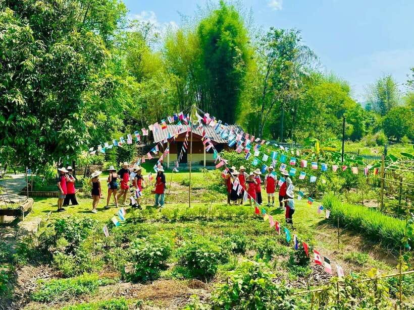 Chiang Mai: Half Day Cooking Class at Organic Farm - The market visit: a useful start, not a long shopping tour