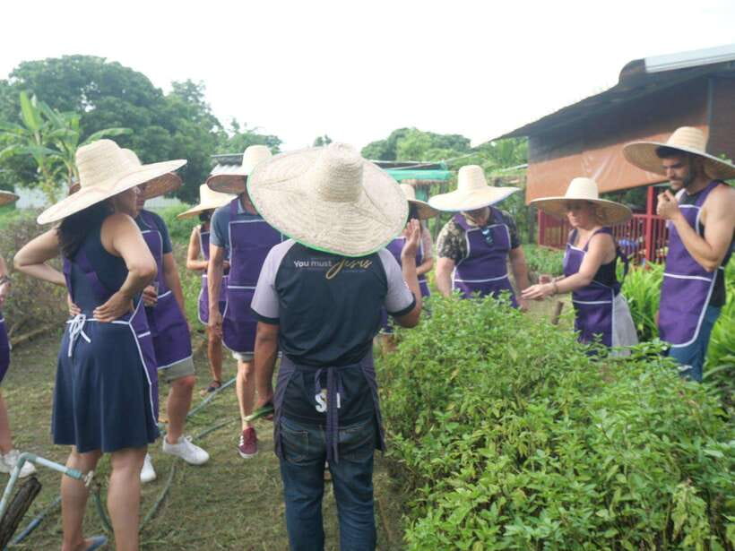 Chiang Mai: Half Day Cooking Class at Organic Farm - The instructors make the difference