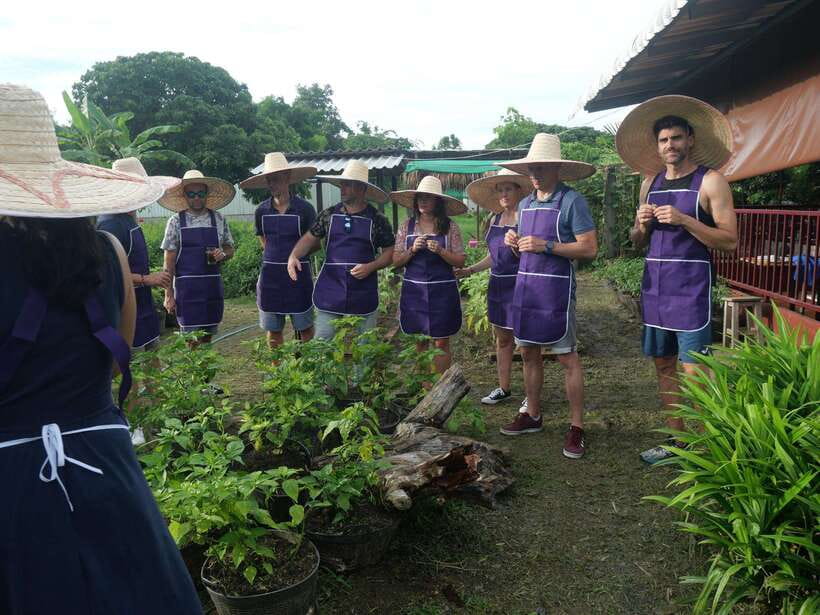 Chiang Mai: Half Day Cooking Class at Organic Farm - Choosing between the three garden settings