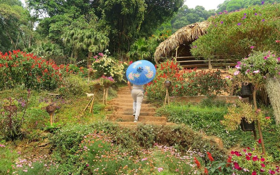 Chiang Mai: Half day Doi Suthep and Meo Village - Why this five-hour trip works well from Chiang Mai
