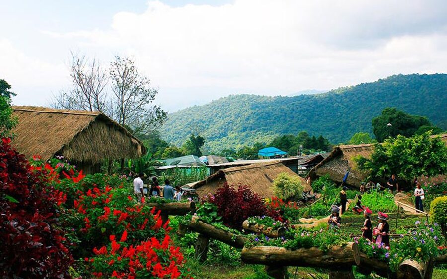 Chiang Mai: Half day Doi Suthep and Meo Village - Should you book the Doi Suthep and Hmong village tour?