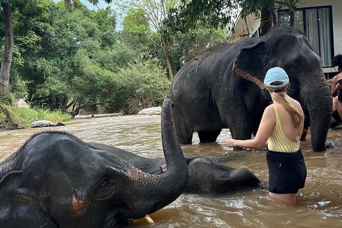 Chiang Mai Half Day Elephant Sanctuary Observation and Waterfall - Cooling off at the waterfall