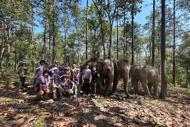 Chiang Mai Half Day Tour: Doi Inthanon Elephant Sanctuary - Meeting elephants near Doi Inthanon