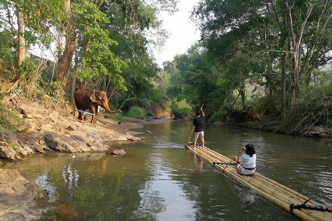 Chiang Mai Half Day Tour: Doi Inthanon Elephant Sanctuary - What the $55.24 price really buys
