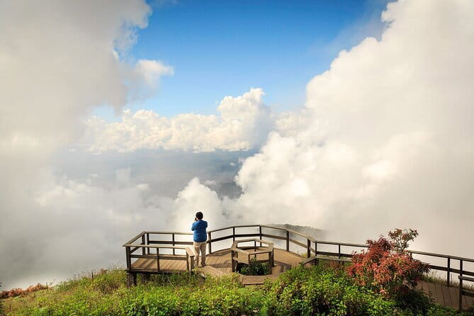 Chiang Mai Half Day Tour: Doi Inthanon Elephant Sanctuary - Who should choose this half-day outing