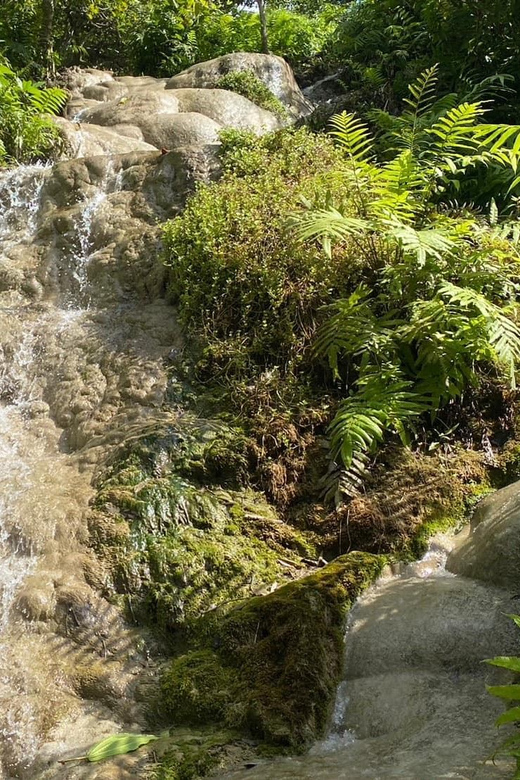 Chiang Mai Half Day Tour: Sticky Waterfall & Hotel Transfer - Climbing the falls, one section at a time