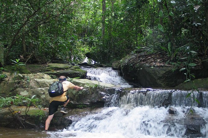 Chiang mai Hike & Downhill Bike Adventure –Suthep National Park - From hotel pickup to the Chiang Mai bike shop