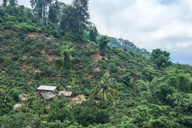 Chiang mai Hike & Downhill Bike Adventure –Suthep National Park - Two hours of downhill riding through Doi Suthep-Pui