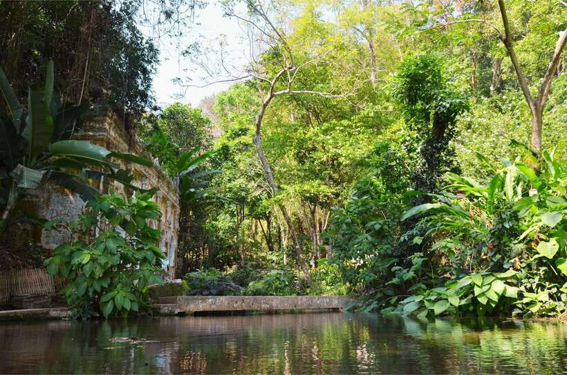 Chiang Mai: Hike on Monk’s Trail and Doi Suthep Private Tour - The city view is part of the payoff