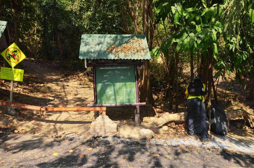 Chiang Mai: Hike on Monk’s Trail and Doi Suthep Private Tour - Who should choose this tour?
