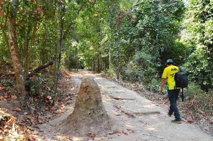Chiang Mai: Hike on Monk’s Trail and Doi Suthep Private Tour - Booking flexibility and small practical details