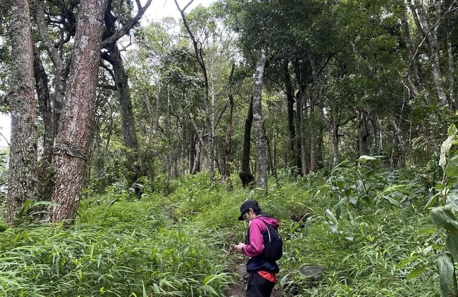 Chiang Mai: Hmong Village, Doi Suthep and Wat Pha Lat Trek - Starting with the Monk’s Trail to Wat Pha Lat