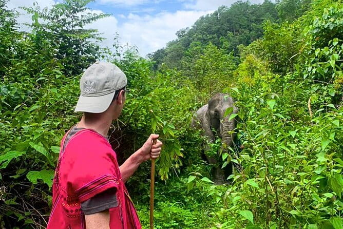 Chiang Mai: Inthanon, Elephant Sanctuary Observation & Waterfall - Doi Inthanon at 2,565 meters