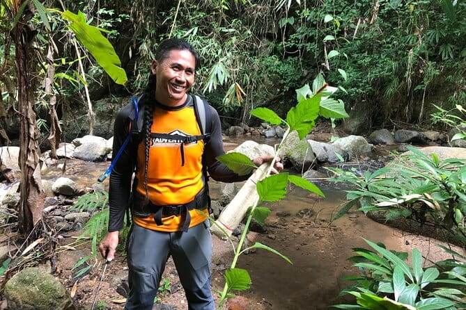 Chiang Mai: Inthanon, Elephant Sanctuary Observation & Waterfall - What $81.12 covers, and where the value sits