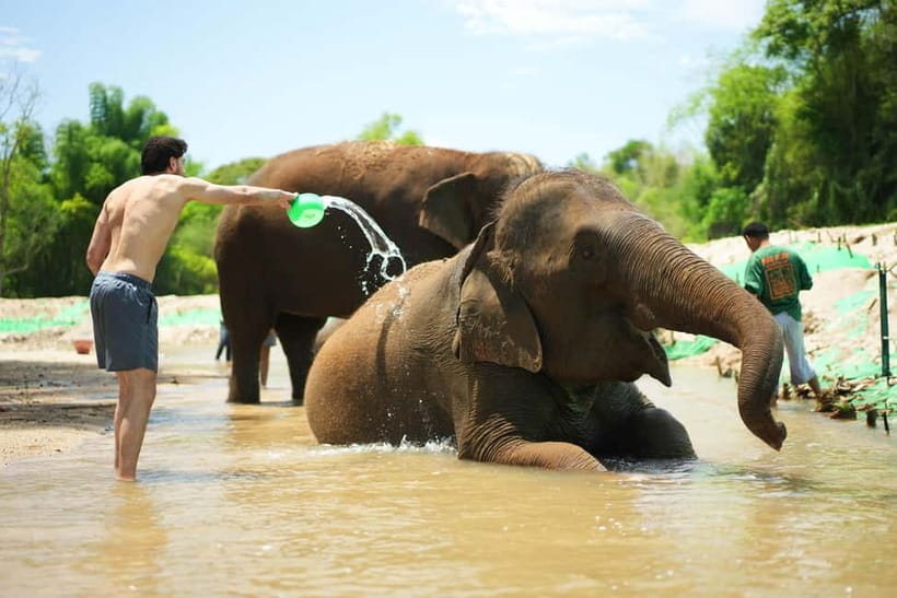 Chiang Mai: Jungle Jumbo Elephant Sanctuary with Waterfall - What the $45 Chiang Mai elephant tour really includes