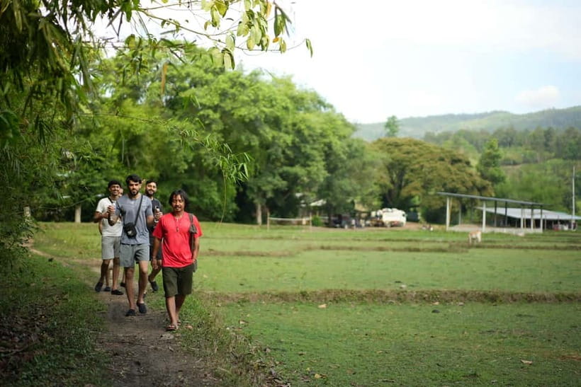 Chiang Mai: Jungle Jumbo Elephant Sanctuary with Waterfall - The bathing session and the group-size question