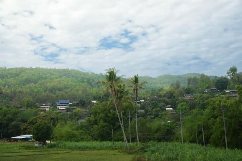 Chiang Mai: Jungle Jumbo Elephant Sanctuary with Waterfall - Who will enjoy this experience most