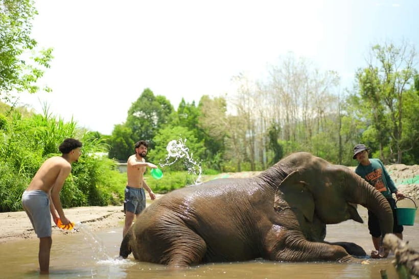 Chiang Mai: Jungle Jumbo Elephant Sanctuary with Waterfall - Guide quality can shape the whole day