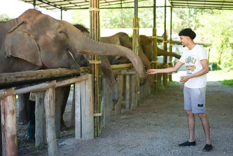 Chiang Mai: Jungle Jumbo Elephant Sanctuary with Waterfall - A brief Thai village stop, with modest expectations