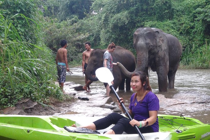 Chiang Mai: Jungle Kayak Adventure with Rapids & Elephants - Elephant camps and wildlife along the banks