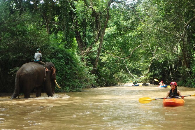 Chiang Mai: Jungle Kayak Adventure with Rapids & Elephants - Choosing between gentle water and Lost Canyon