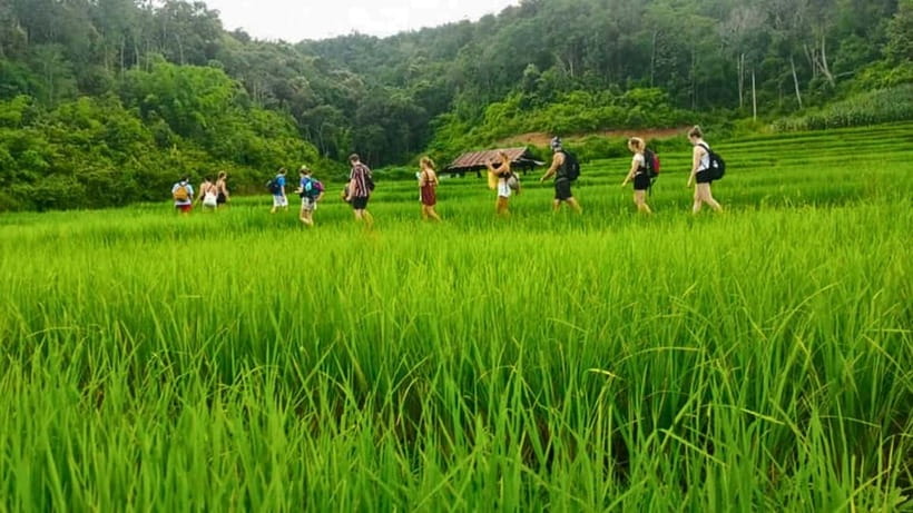 Chiang Mai: Jungle Trek, Elephants care & Bamboo Rafting - Walking through forest, rice fields, and Karen country