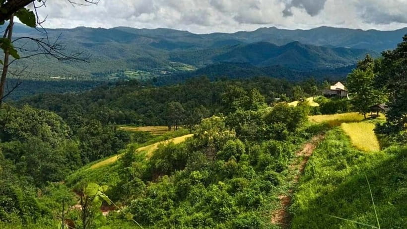 Chiang Mai: Jungle Trek, Elephants care & Bamboo Rafting - The Karen village visit and the elephant question