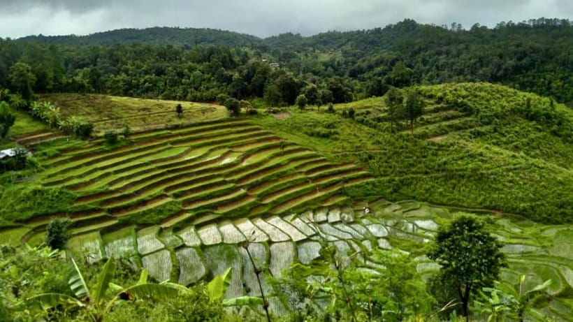 Chiang Mai: Jungle Trek, Elephants care & Bamboo Rafting - What the $58 price includes